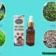 Tinh dầu Dạ Thảo Liên có tốt không