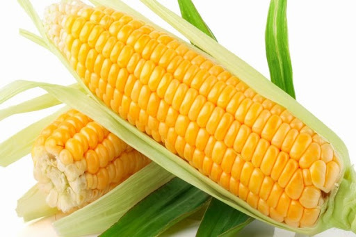 Ngô món ăn không tốt cho bệnh xương khớp