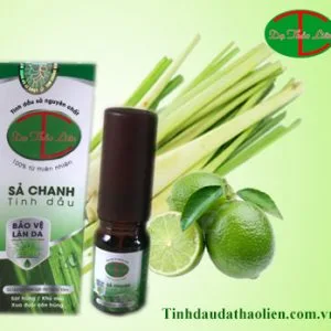 Tinh dầu sả chanh dạ thảo liên