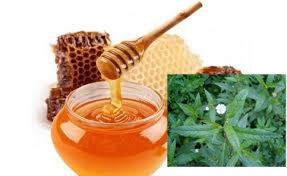 Trị bệnh nấm miệng