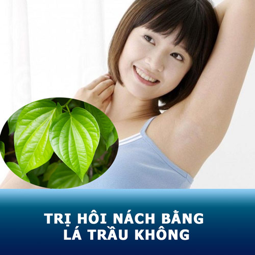 tri hoi nach Da Thao Lien