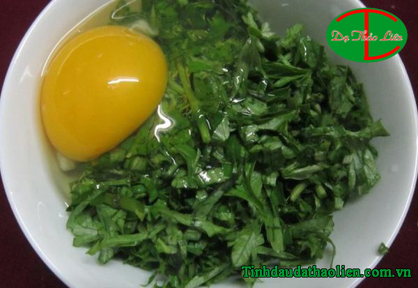C&ocirc;ng dụng chữa bệnh của c&acirc;y ngải cứu