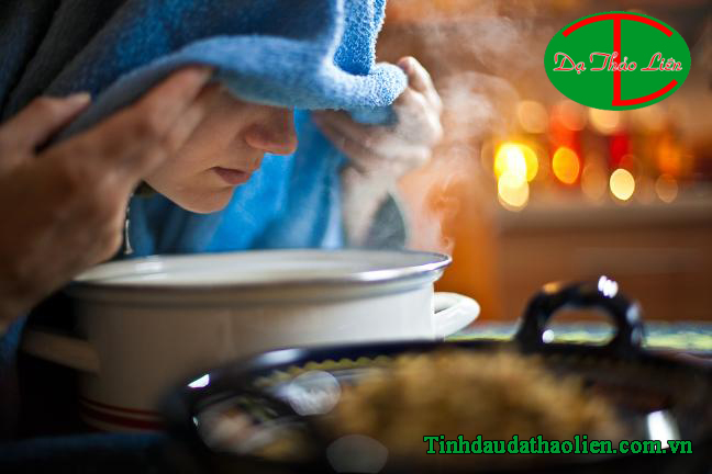 C&ocirc;ng Dụng Chữa Bệnh Của C&acirc;y Ngải Cứu