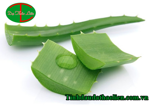 Trị vi&ecirc;m lợi