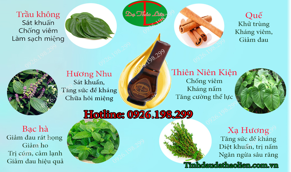 C&acirc;y hương nhu