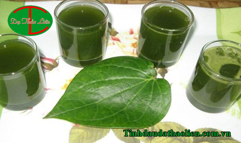 Mẹo trị đau nhức răng cấp tốc bằng l&aacute; trầu kh&ocirc;ng