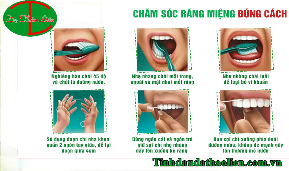 Mẹo trị đau nhức răng cấp tốc bằng l&aacute; trầu kh&ocirc;ng