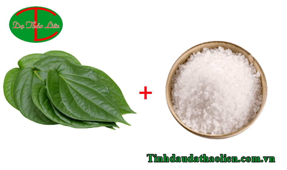 Mẹo trị đau nhức răng cấp tốc bằng l&aacute; trầu kh&ocirc;ng