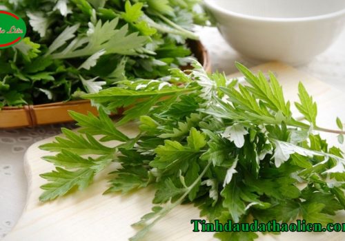 Lá ngải cứu