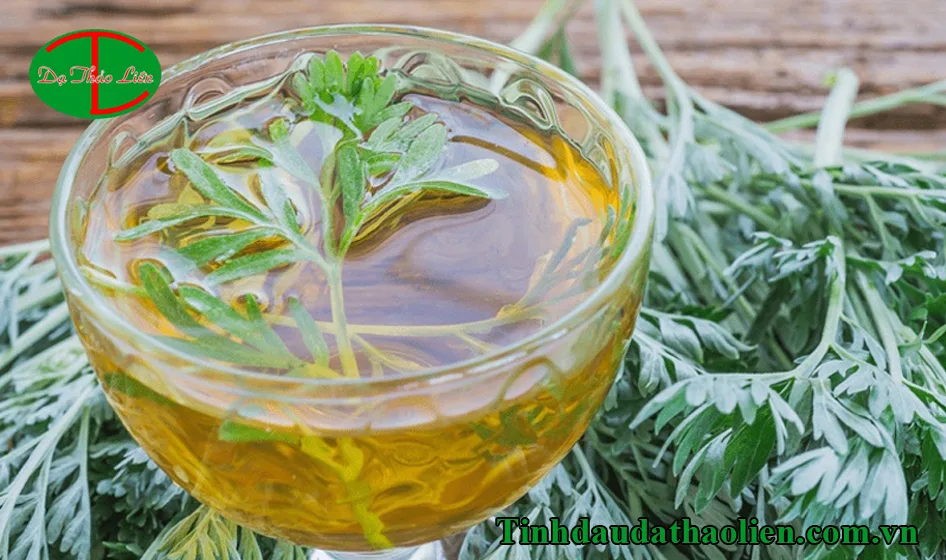 Ngải cứu c&oacute; t&aacute;c dụng g&igrave;