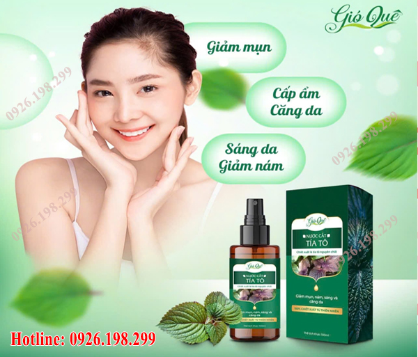 nước cất tía tô Gió Quê