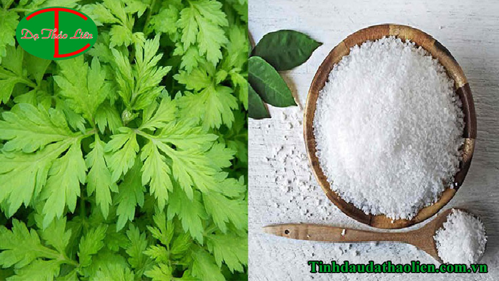C&aacute;ch trị đau lưng